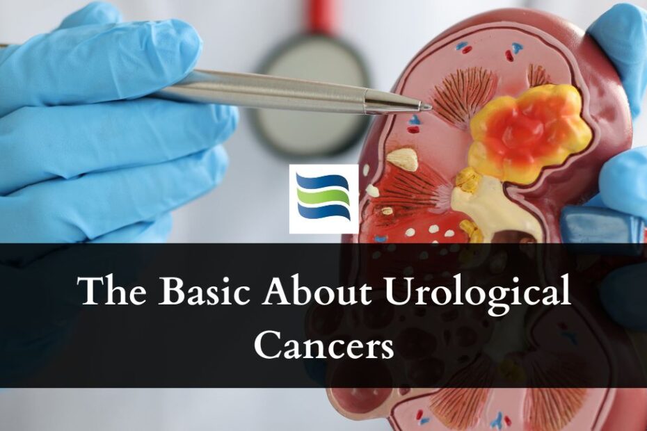 The Basic About Urological Cancers
