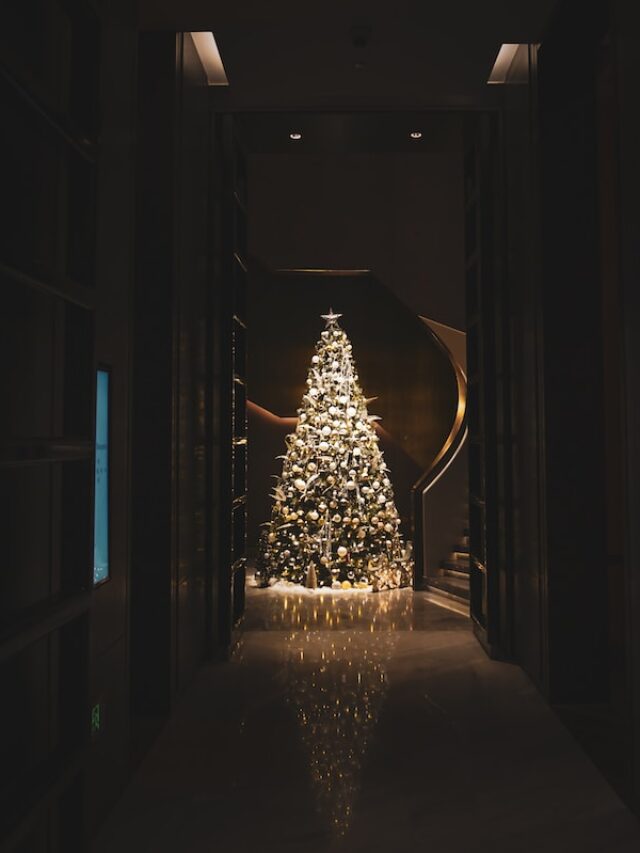 Costco’s Flocked Christmas Tree Is on Mega Sale